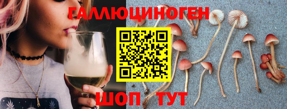 Псилоцибиновые грибы GOLDEN TEACHER Мытищи