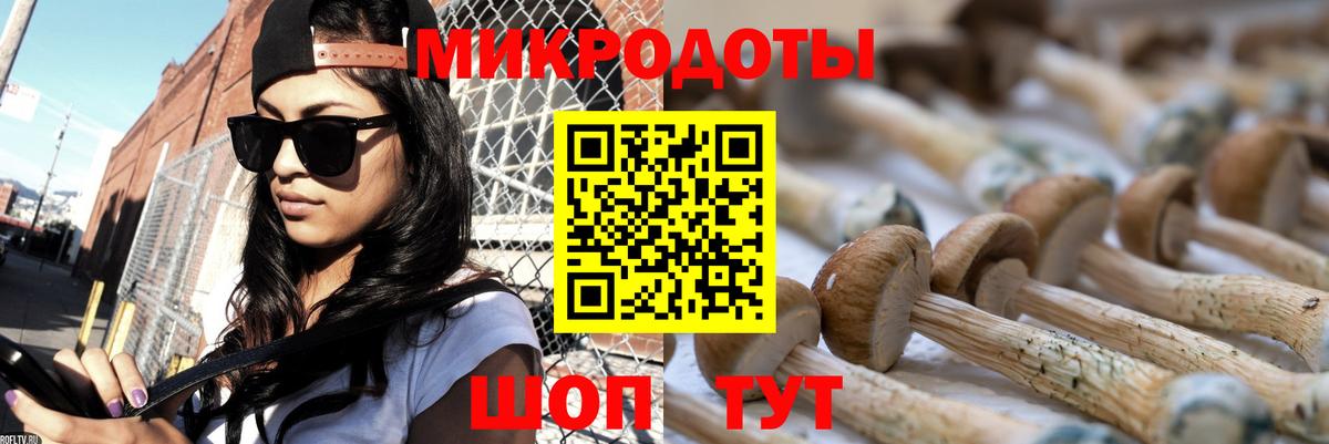 Псилоцибиновые грибы мухоморы  Галлюциногенные грибы Magic Shrooms  Вход с VPN  Мытищи 